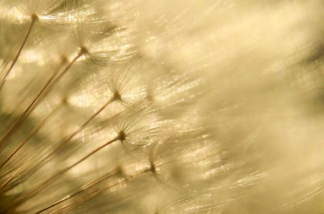 Teremtjük a valóságunkat