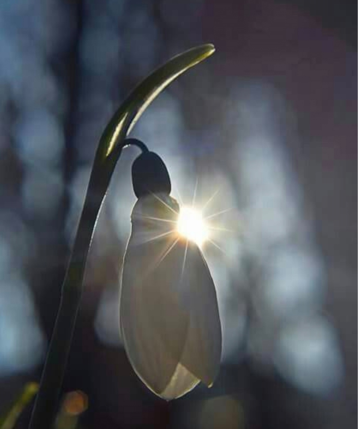 A tavasz nem kér engedélyt