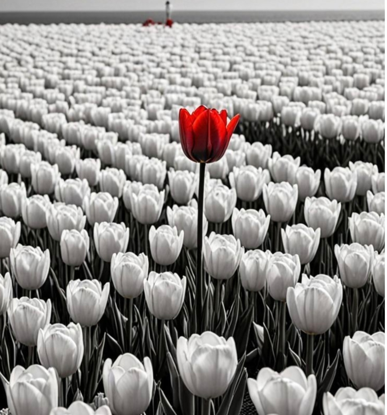 Babilon nem egy város