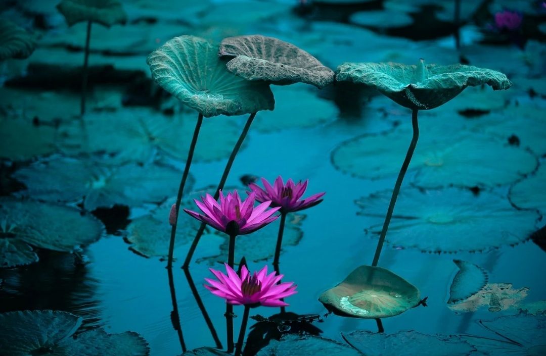 I know it is hard to open up again