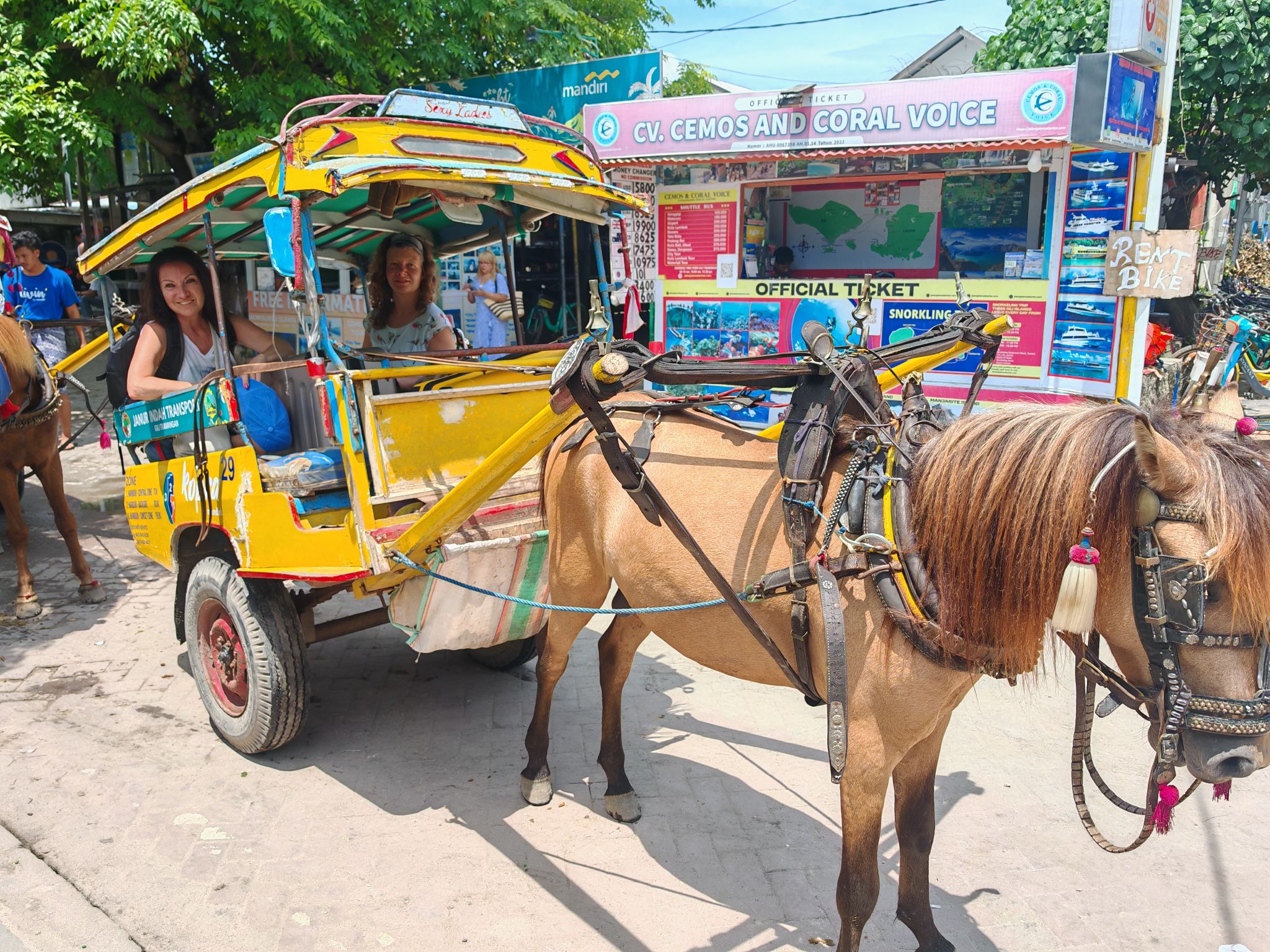 Utazás az életen át